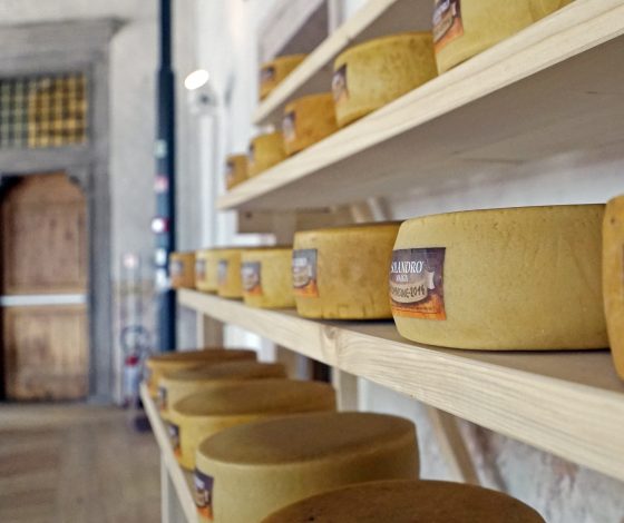 Formaggi di malga