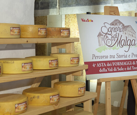 Asta dei Formaggi di Malga 2018 Ph Nitida Immagine